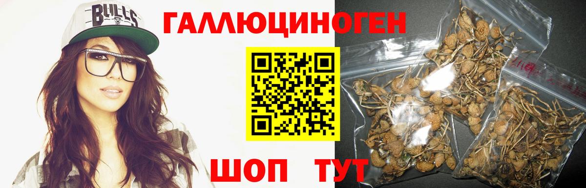 Псилоцибиновые грибы Cubensis  Псилоцибиновые грибы MAGIC MUSHROOMS  Вход с VPN  Крымск 